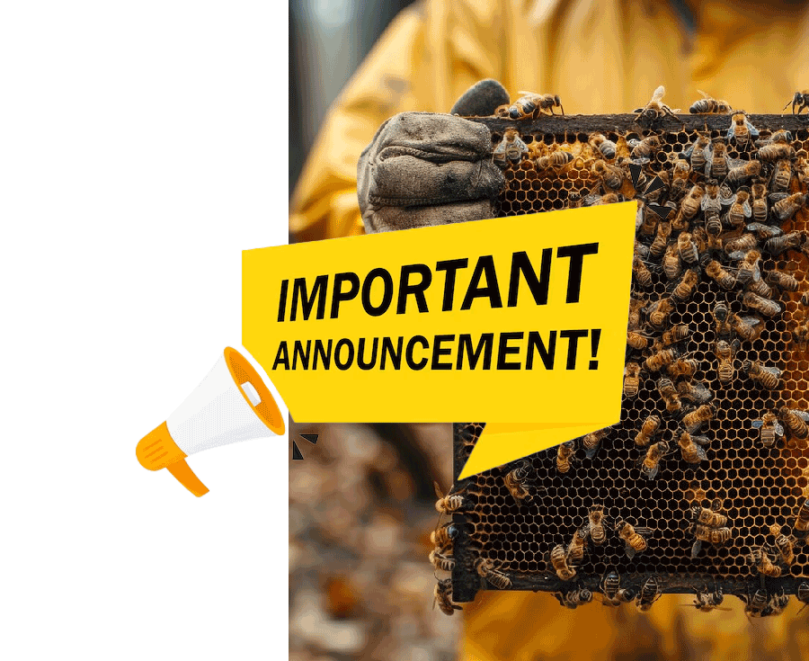 Banner Hero Custom Bee Suit Important Jawadis
