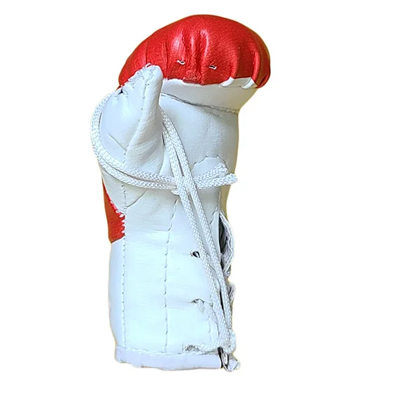 Mbg N6020o052 Tonga Mini Boxing Gloves Souvenir Jawadis 3