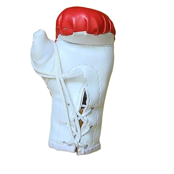 Mbg N6020o052 Tonga Mini Boxing Gloves Souvenir Jawadis 4