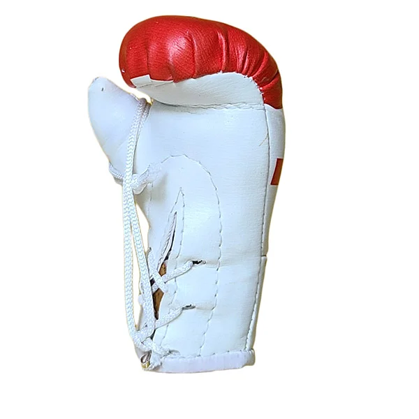 Mbg N6020o052 Tonga Mini Boxing Gloves Souvenir Jawadis 5