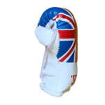 Mbg N6020o058 Uk Mini Boxing Gloves Jawadis 6