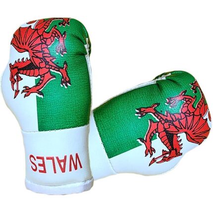 Mbg N6020o061 Wales Mini Boxing Gloves Jawadis 0