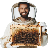 Category image for Beekeeping - Jawadis.us
