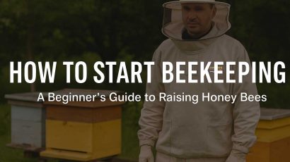 Illustration of modern beekeeping techniques with a beekeeper wearing a white suit, smart hive monitoring tools, and healthy bees flying around a wooden hive in a sunny apiary.